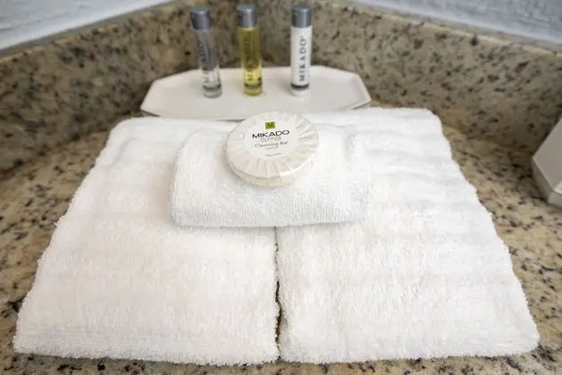 The Enclave Hotel and Suites - Banyo Tipleri
