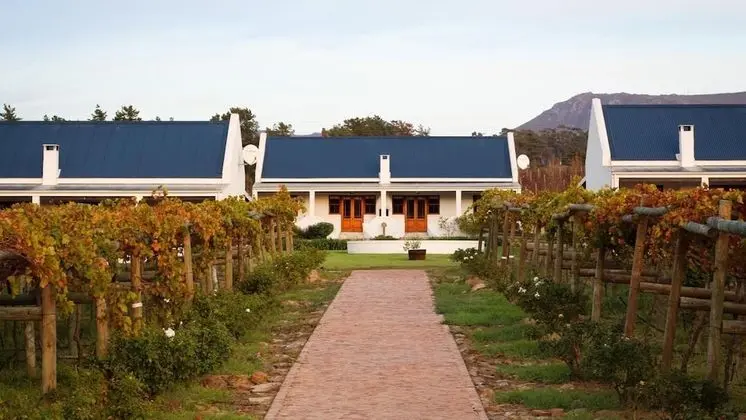 Endless Vineyards at Wildekrans Wine Estate - Dış Mekan