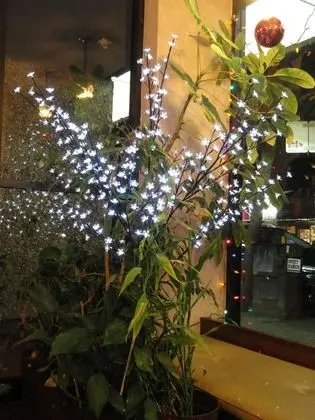 English Bay Hotel - Lobi