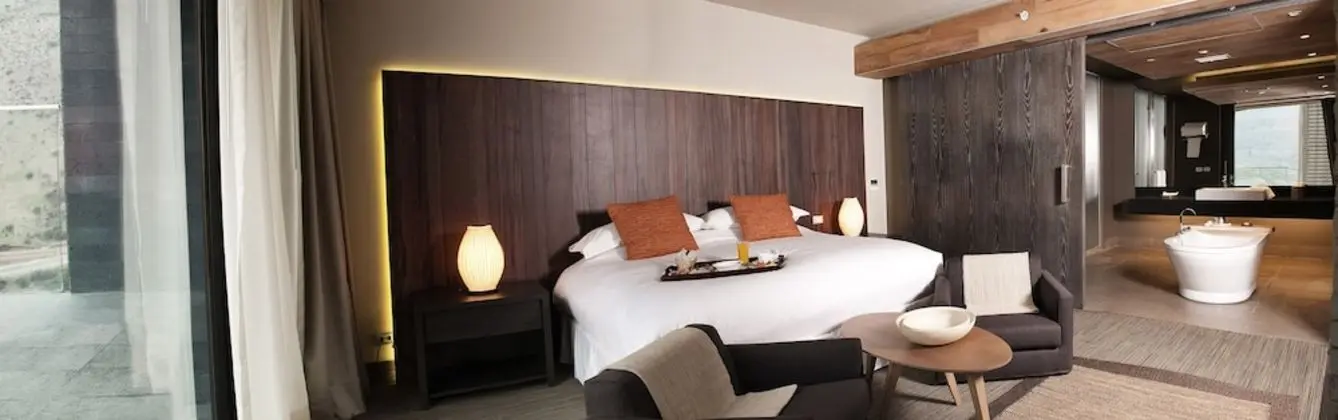 Enjoy Santiago - Hotel del Valle - Oda