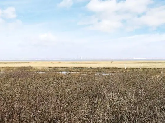 Enticing Holiday Home in Hvide Sande With Whirlpool