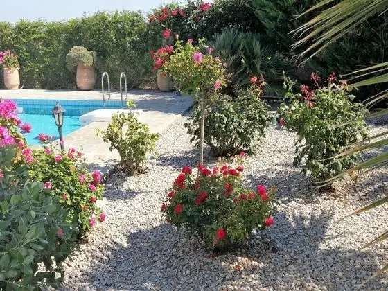 Enticing Villa in Loutra with Private Pool & Garden near Beach - Havuz
