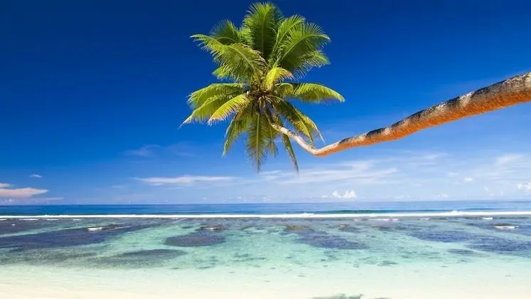 Equa Reef Maldives - Plaj