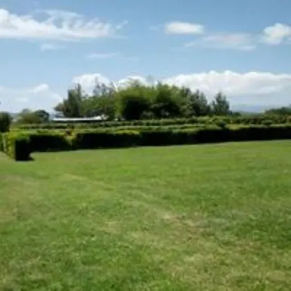 Equator Green Gardens and Resort - Dış Mekan