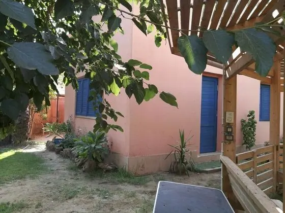 Equestrian guest house - Pyramids Egypt - Dış Mekan