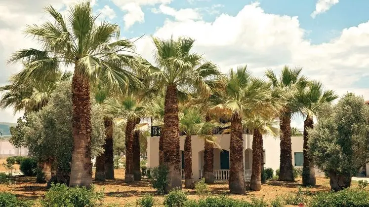 Eretria Hotel & Spa Resort - Dış Mekan