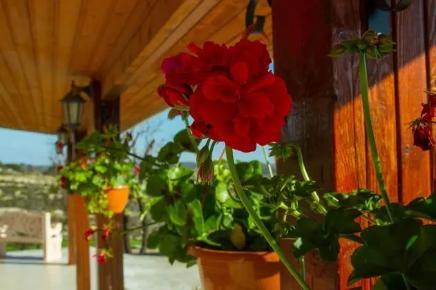 Erigone Cottage - Beautiful Ambiance - Dış Mekan