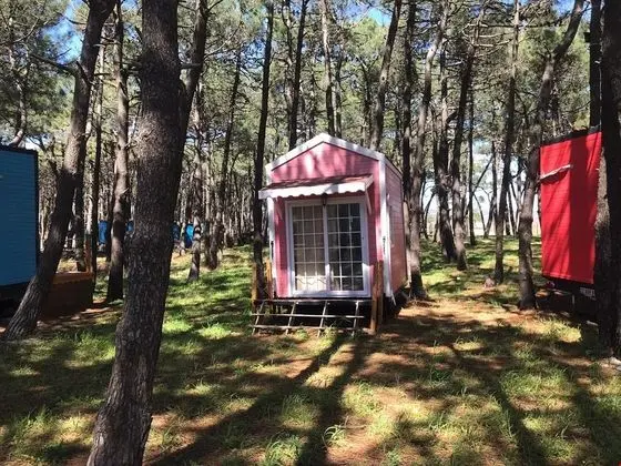 Erikli Plummy Glamping