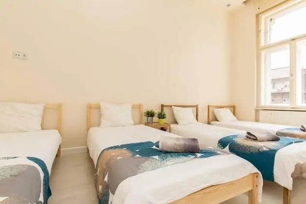 Erzsébet Spa Apartment - Oda