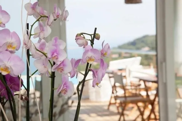 Es Cel de Begur Hotel - Dış Mekan