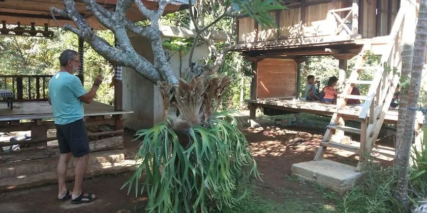 ESA di Kubu Homestay - Dış Mekan