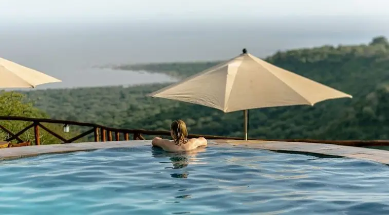 Escarpment Luxury Lodge - Havuz