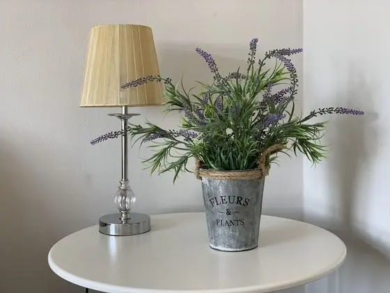 Eskdaill Place Apartment - Oda