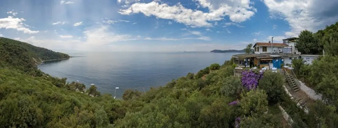 Eskibağ Butik Hotel - Manzara / Peyzaj