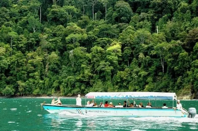 Esquinas Rainforest Lodge - Genel