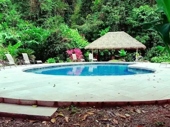 Esquinas Rainforest Lodge - Havuz