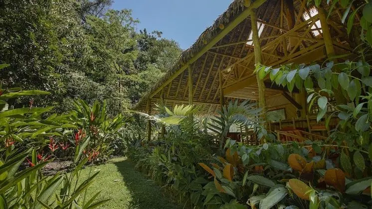 Esquinas Rainforest Lodge - Lobi