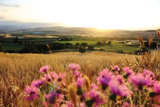 Essentia Dimora Rurale