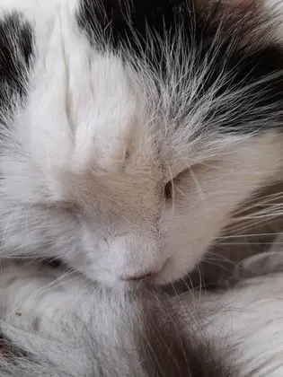 Estacion Mendoza Hostel