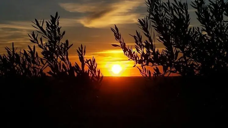 Estalagem de Monsaraz