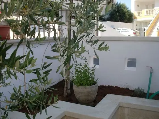 Estate Salento - Dış Mekan