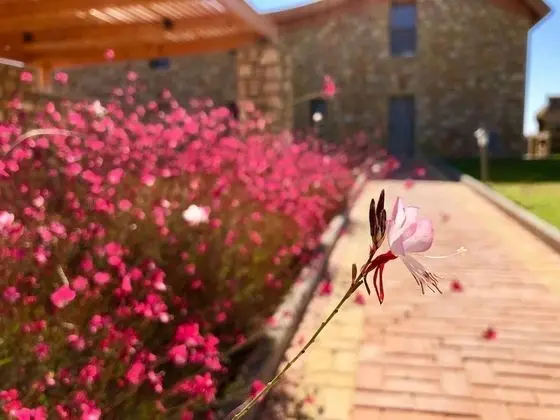 Estrella Villas Rhodes Verano Villa Up to 6 Guests