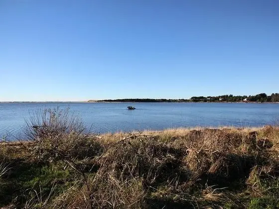 Estuary Cottage - Plaj