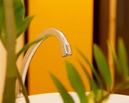 Estúdio Martinelli - Banyo Tipleri