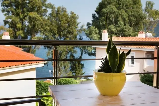 Eucalyptus Apartments Apartment Hyacinth