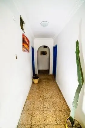 Eucalyptus Pension - Lobi