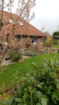 Eulennest - 1
