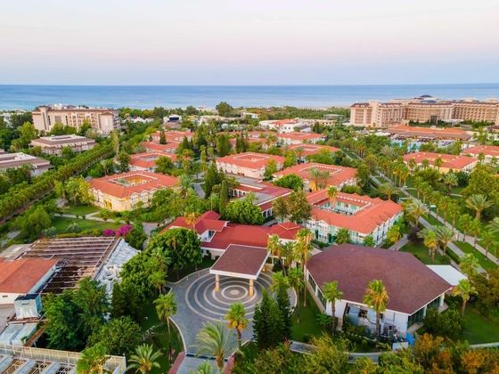Euphoria Palm BeachFotoğrafı