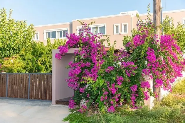 Evagelia Suites GREEN