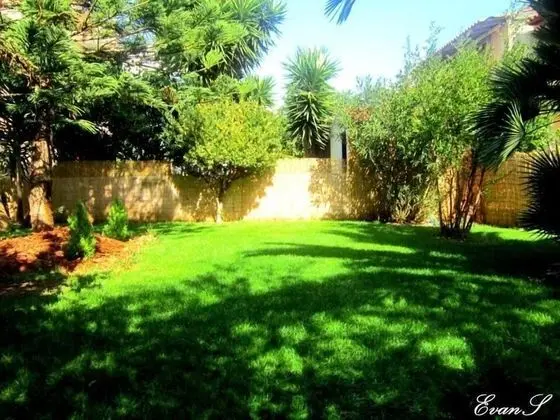 Evans Studio - Dış Mekan