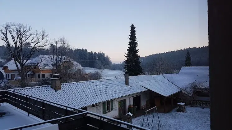 Eventhof Platzhirsch - Dış Mekan