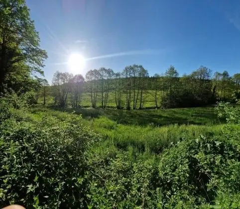 Eventhof Platzhirsch - Genel