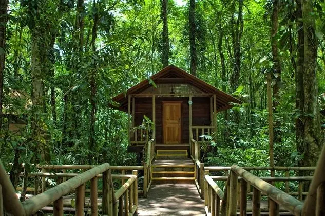 Evergreen Lodge