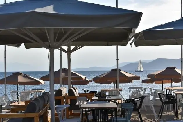 Evia Dream - Havuz