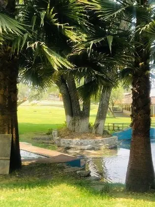 Hotel Ex Hacienda el Molino - Dış Mekan