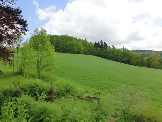 Exclusive Apartment in the Beautiful Ore Mountains With Conservatory and Villa Park - İç Mekan