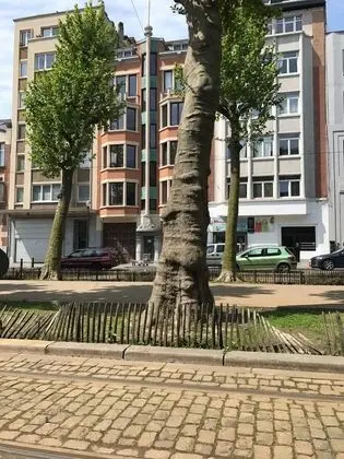 Exclusive Flats Sainte-Catherine Art - Dış Mekan