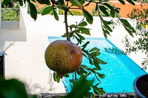 Exclusive Villa Marumare Completed 2021 Pool 300m to the Beach - Havuz