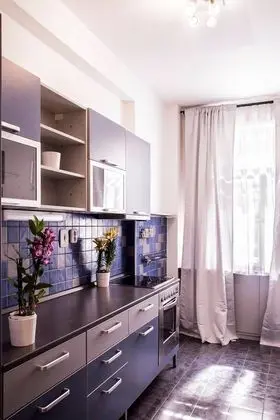 Exclusive Riverside Apartment In Heart Of Prague - Mutfak