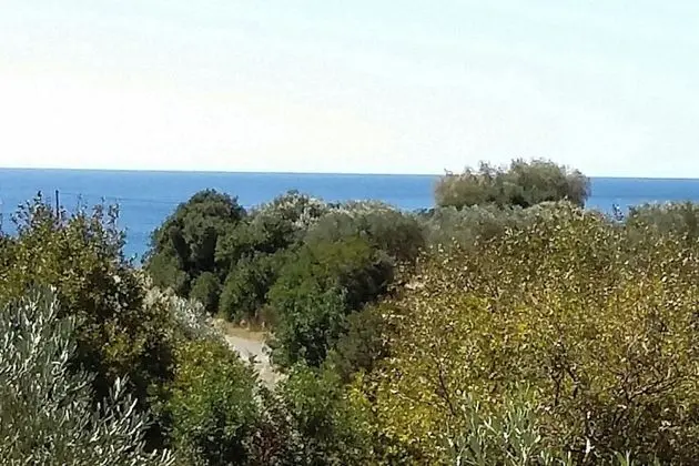 Excusive 1 Bedroom Cottage in Paleochora - Genel