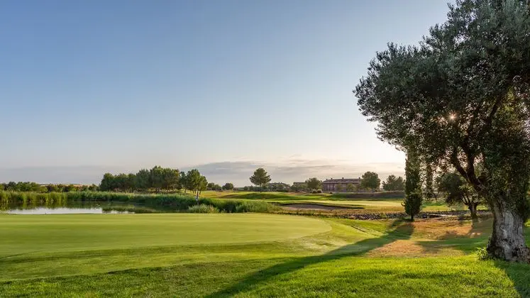 Exe Layos Golf