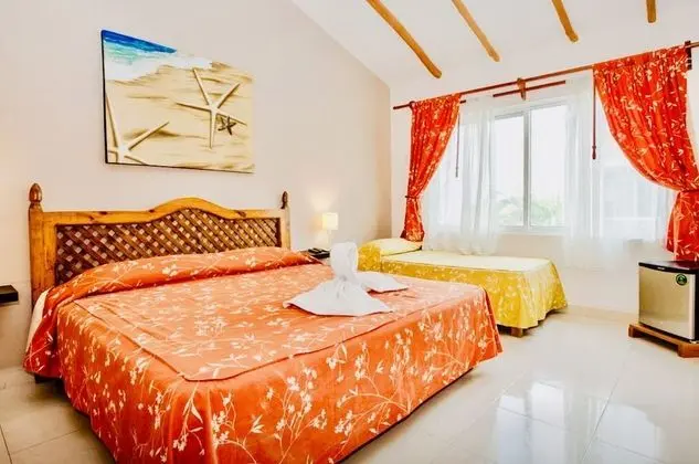 Executive Comfort Room With Swimming Pool Air Conditioning and Parking - Oda