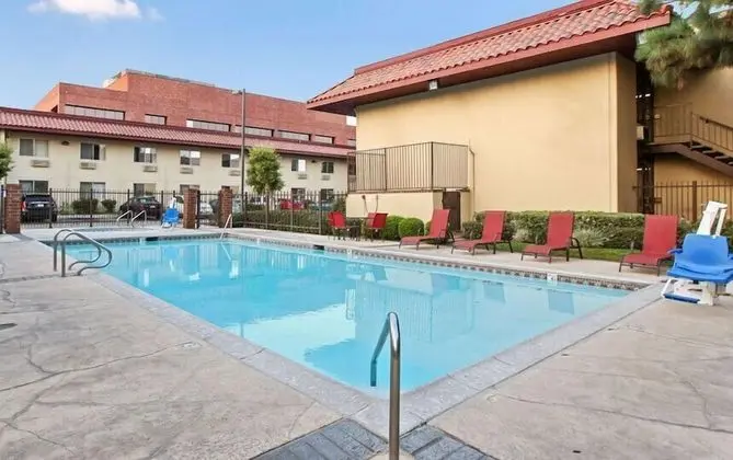Executive Inn - Havuz