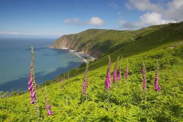 Exmoor White Horse Inn - Plaj