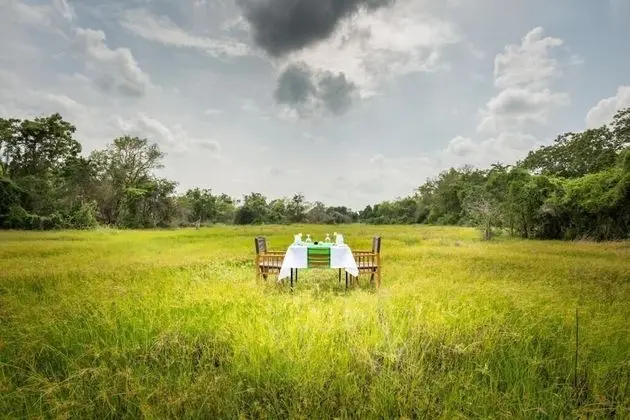 Explorer by Eco Team - Maduru Oya National Park