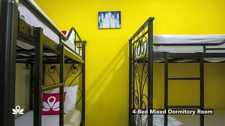 THE EXPLORERS GUESTHOUSE AND HOSTEL - Genel